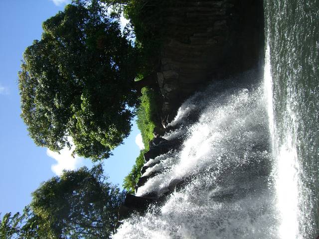 Bild 168