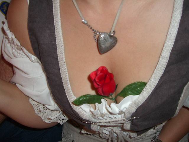 Bild 72